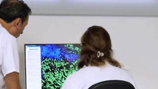 investigador con chaquetilla blanca de espaldas mirando una pantalla con imagen de células y sentada de espalda frente a ella una investigadora también con chaquetilla blanca