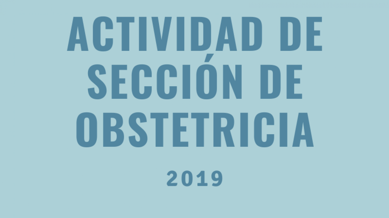 Actividad Obstetricia 2019