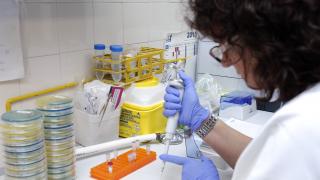 profesional microbiología procesando prueba diagnóstica