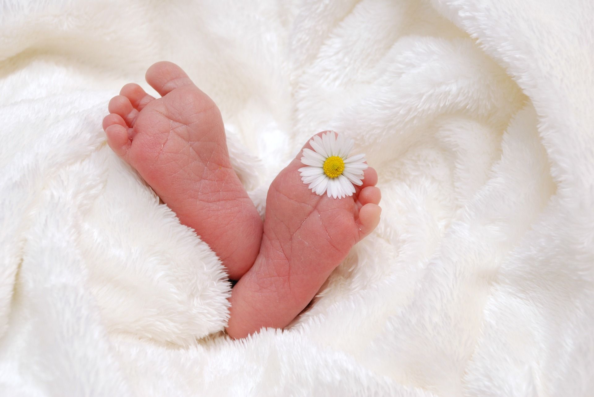 Los pies de un bebé con una flor entre los dedos