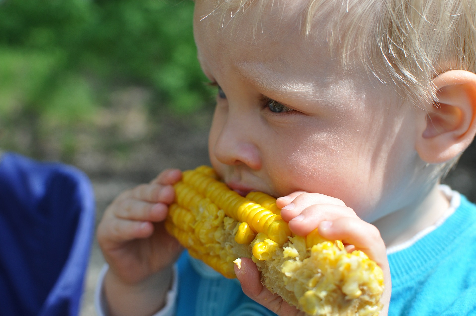 niño comiendo una mazorca de maíz