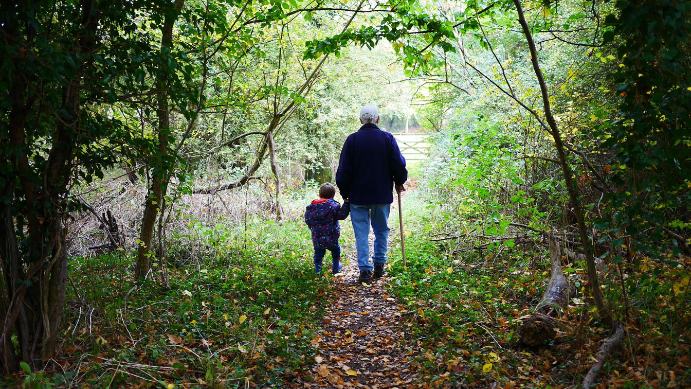 Abuelo y nieto, de espaldas, caminando por una zona frondosa