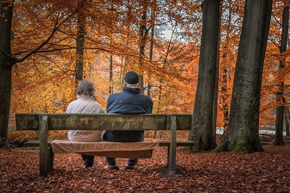 Ancianos sentados en el banco de un parque, de espaldas
