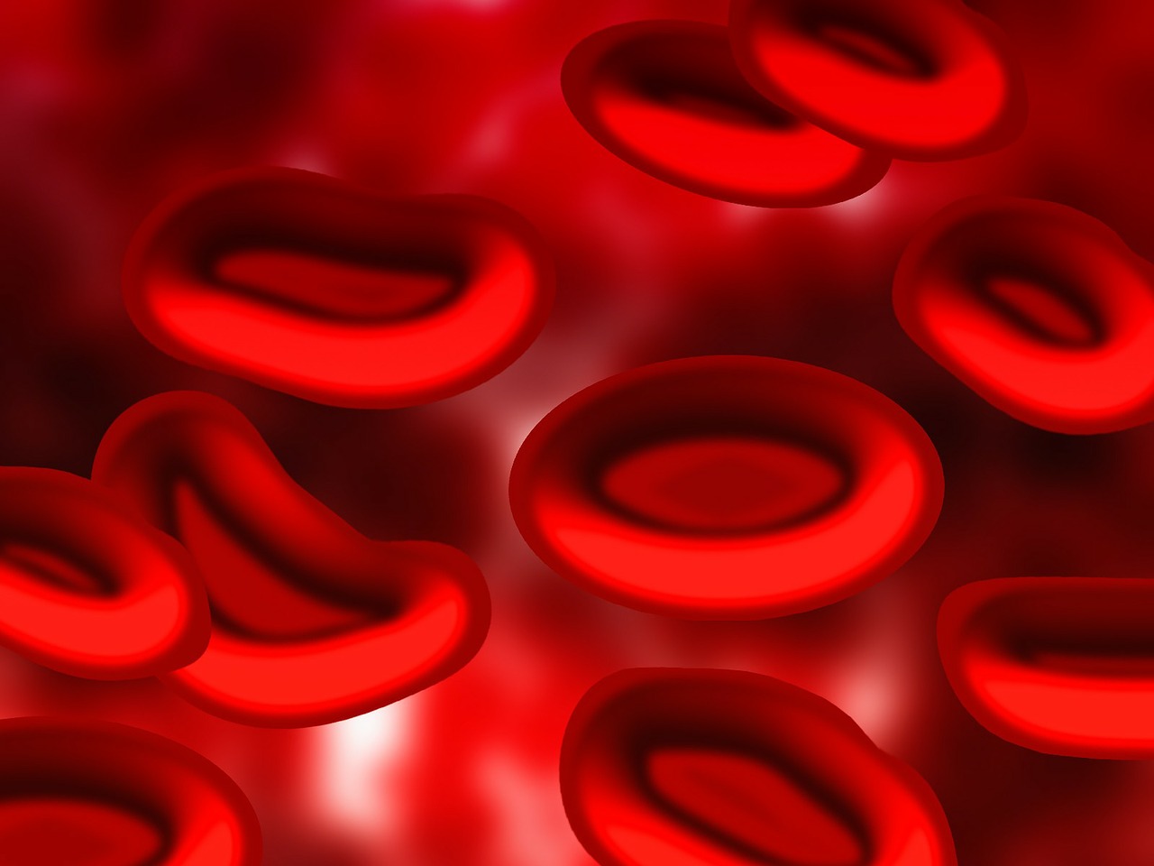 Ilustración de glóbulos rojos