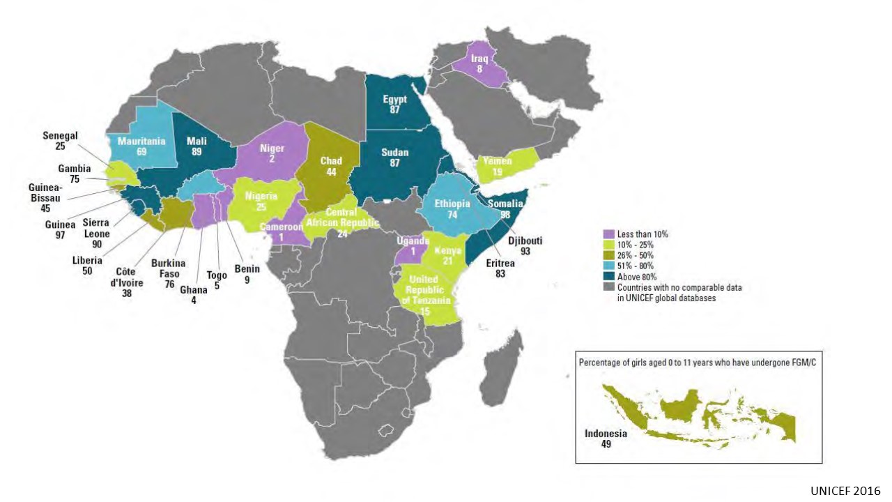 Mapa de países africanos que practican la mutilación genital femenina 