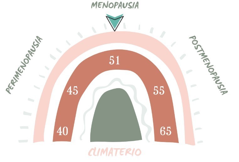 grafico edad fases menopausia