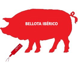 silueta de un cerdo con relleno en rojo con leyenda bellota ibérico y precinto rojo