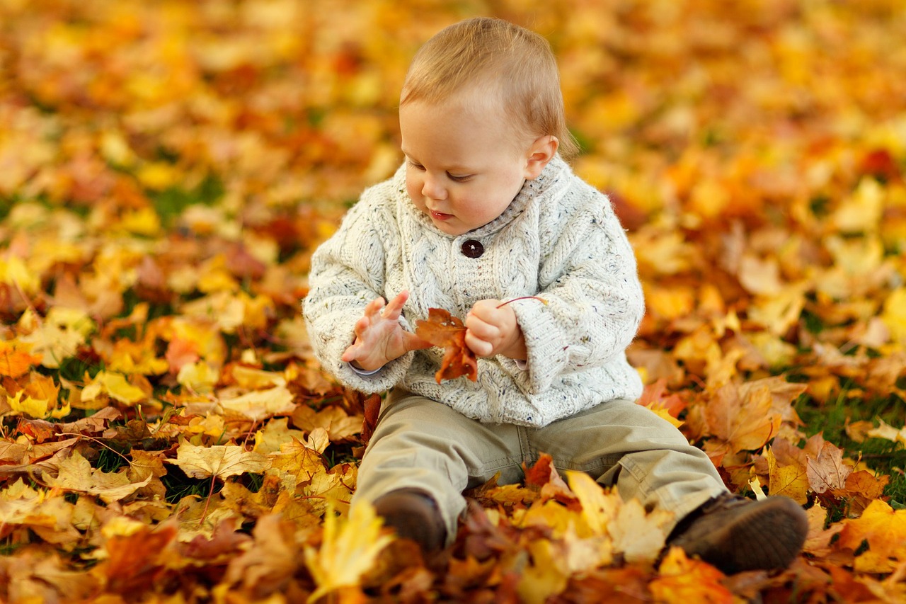 bebé sentado encima de las hojas secas de los árboles