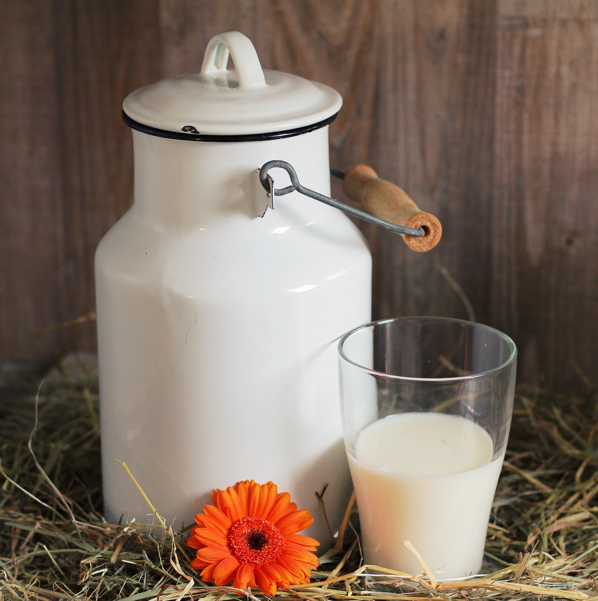 foto de un recipiente antiguo tipo lechera y un vaso de leche
