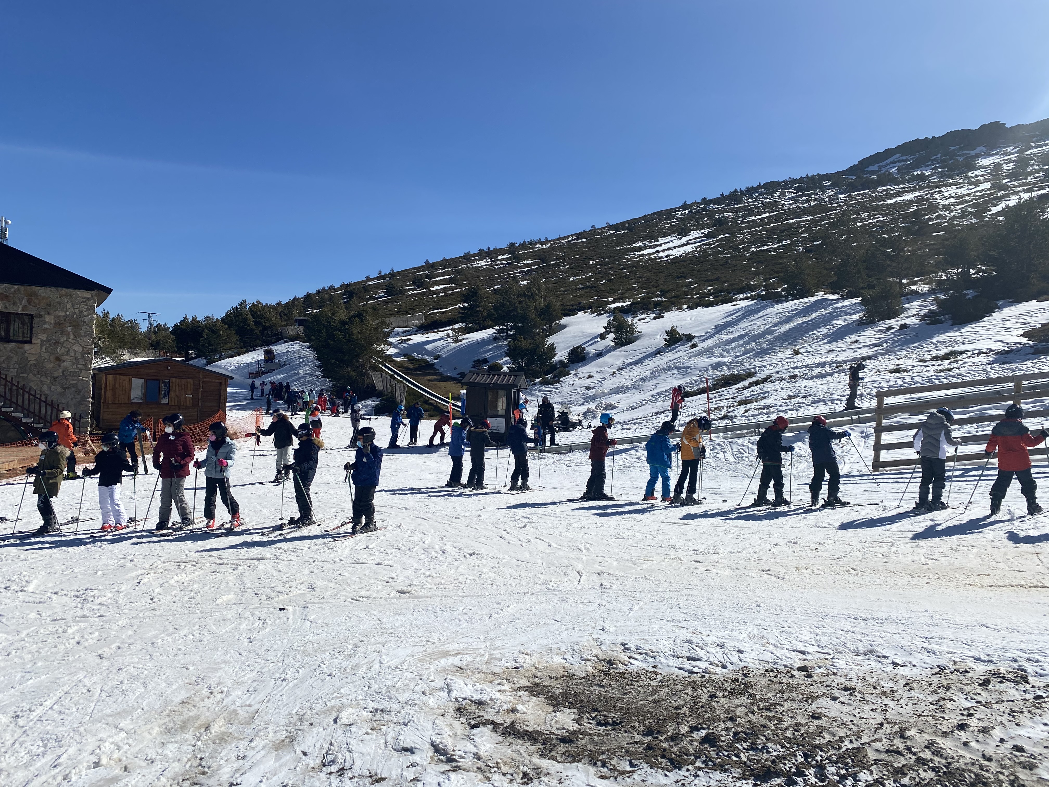 Grupo de niños practicando el esquí en un día soleado