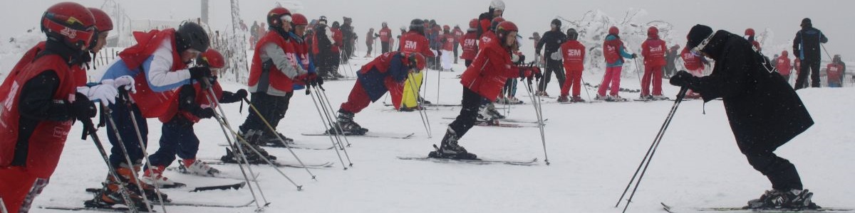 Varios de grupos de niños asistiendo a una clase de esquí