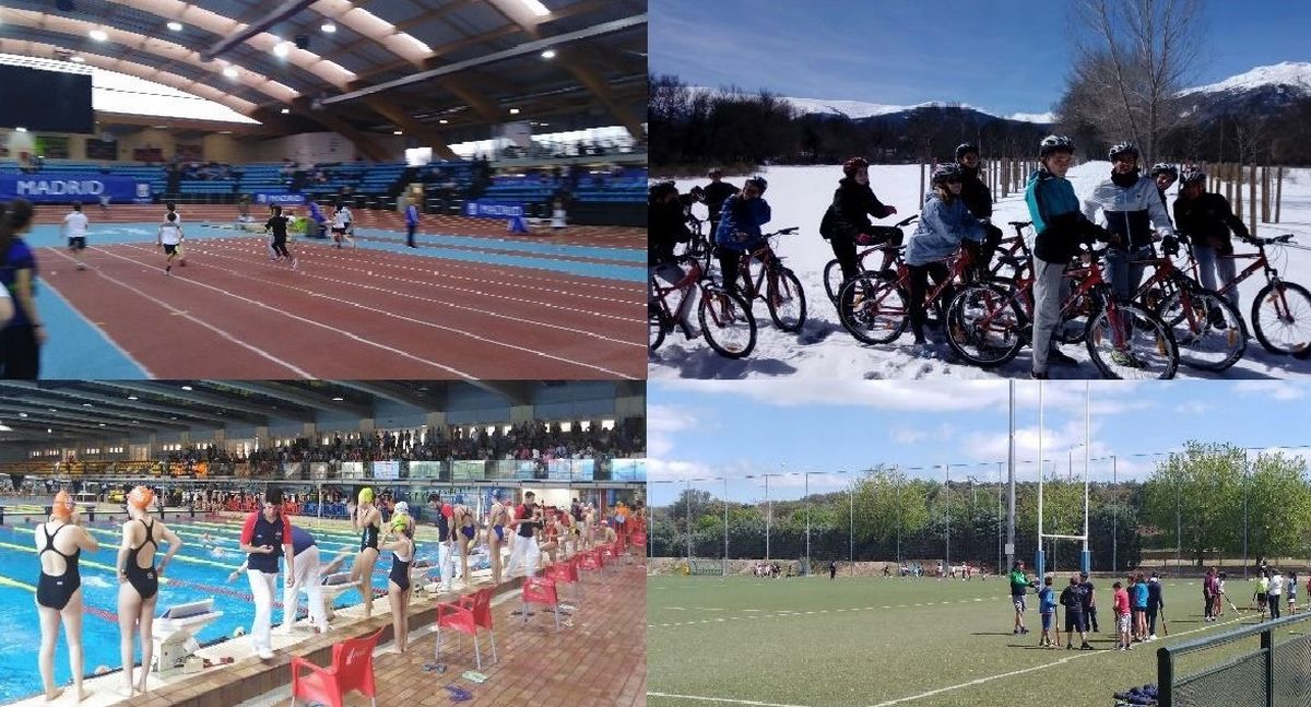 Collage deportivo: atletismo, natación, mountain bike, rugby