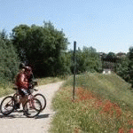 Dos ciclistas parados en el camino