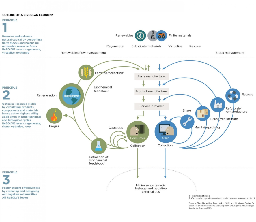 Diagrama de mariposa: visualizando la economía circular