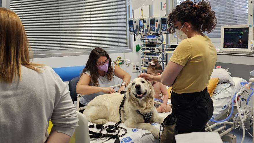 Terapia con perro y niña en la UCO Pediátrica del Hospital 12 de Octubre