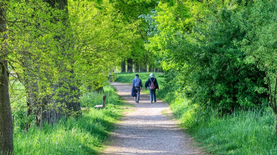 Personas mayores caminando en bosque