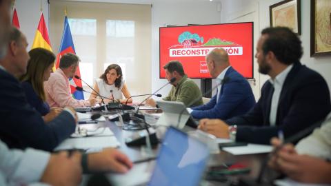 La Comunidad de Madrid aprueba una campaña de promoción de la Sierra Oeste y nuevas ayudas para la recuperación La presidenta Isabel Díaz Ayuso en la primera reunión de la Comisión Interdepartamental por la Reconstrucción tras los incendios