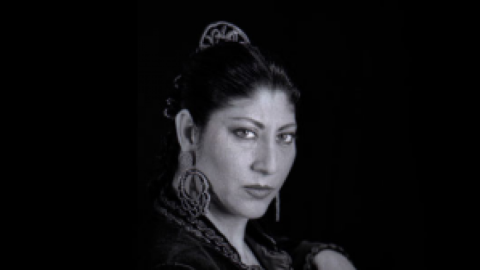 Danza flamenca
