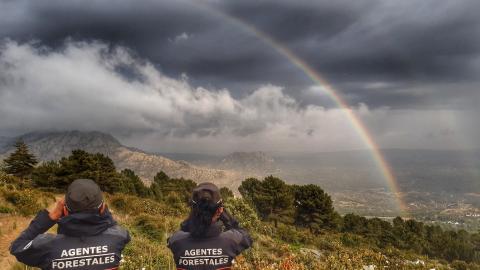Agentes Forestales CM