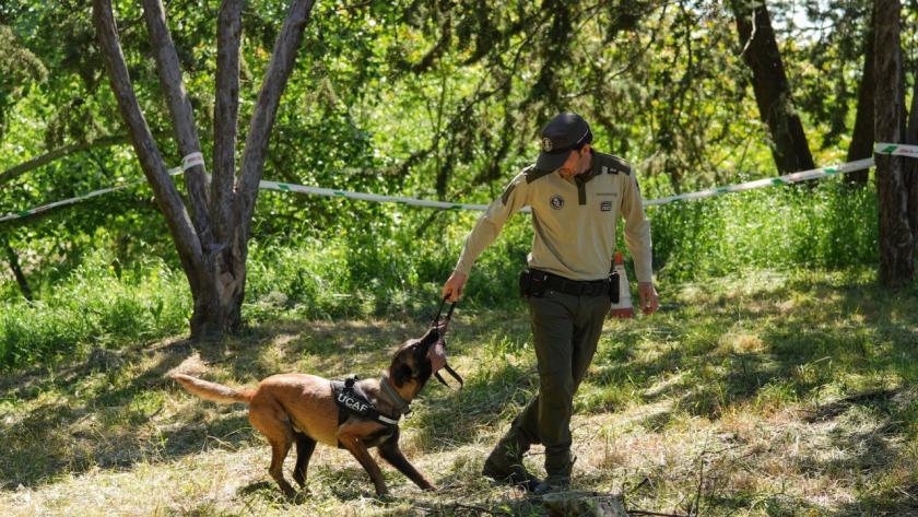 Unidad Canina del Cuerpo de Agentes Forestales La Comunidad de Madrid inicia una campaña de vigilancia para la detección de cebos envenenados en el medio natural y en terrenos cinegéticos