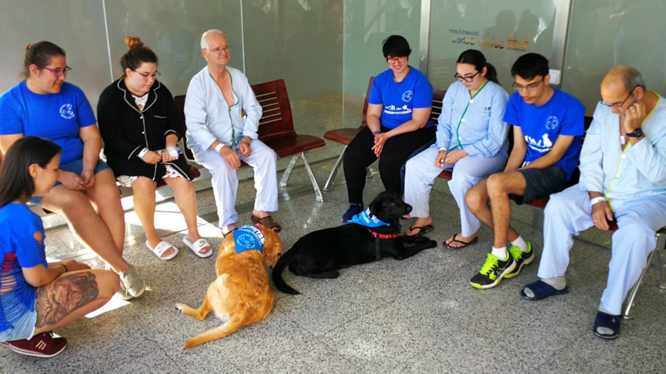 Hospital Severo Ochoa | Asociación Canina de Leganés