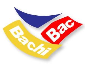 Logo Bachibac