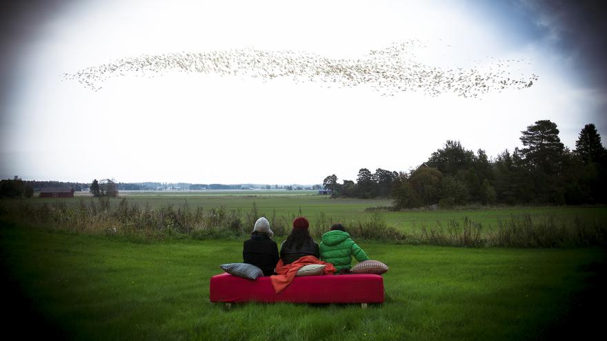 3 personas de espaldas al espectador y sentados en un sofá en el campo, contemplan una bandada de pájaros