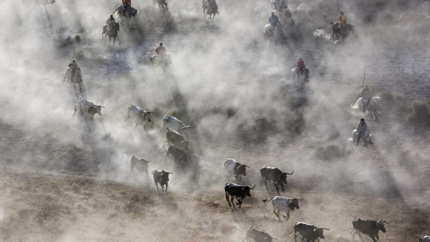 Encierro de Cuéllar. Foto de Raúl Barbero