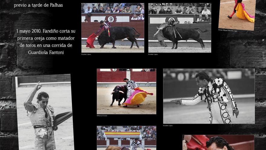 Iván Fandiño en Las Ventas