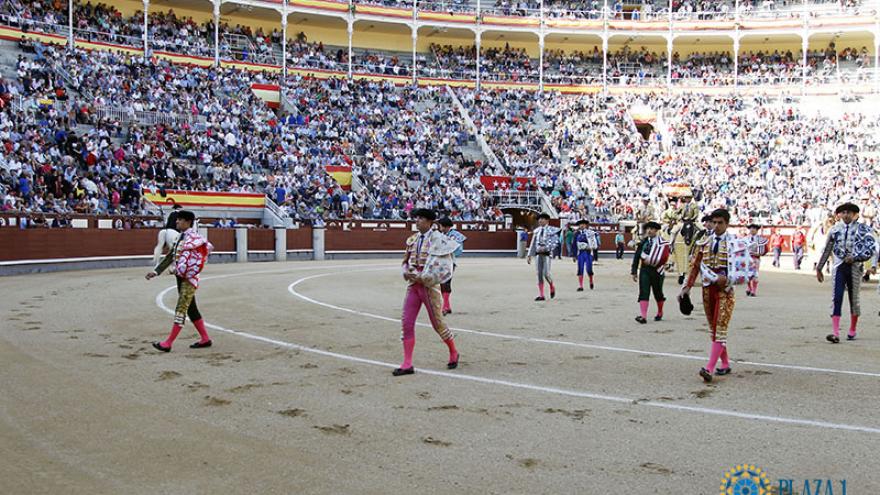 Novilleros at Las Ventas