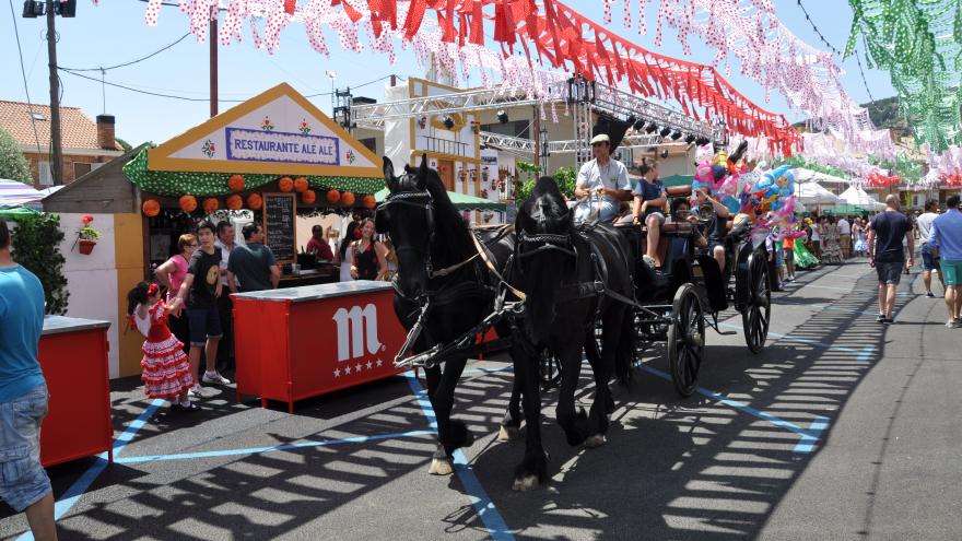 Coche de caballos por la Feria