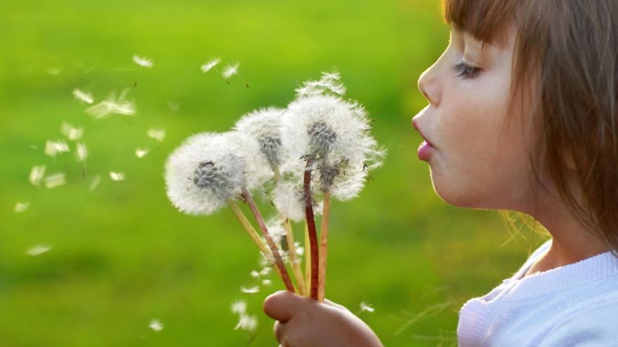 Una niña soplando a un diente de león