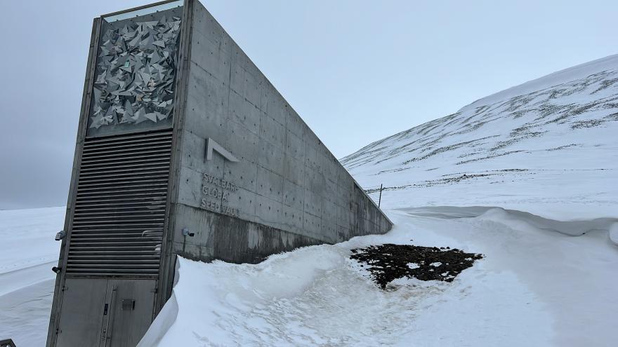 Banco Mundial de Semillas de las Islas Svalbard (Noruega)