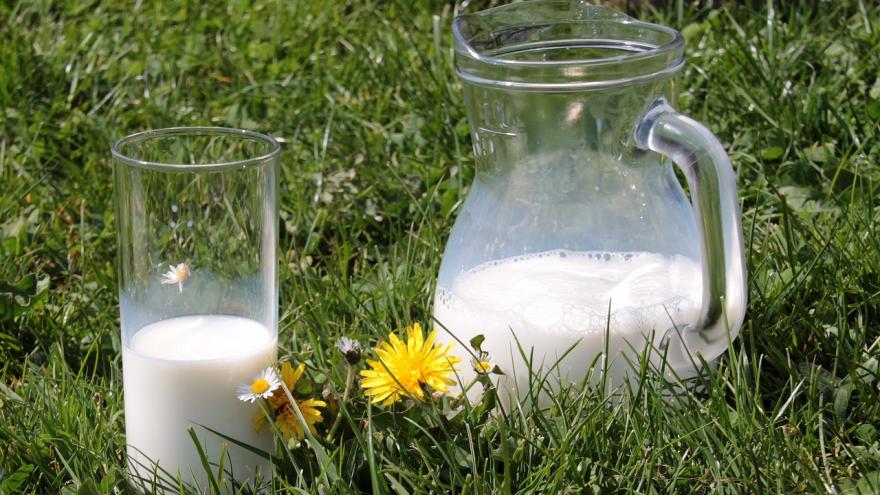 Jarra y vaso de leche sobre la hierba