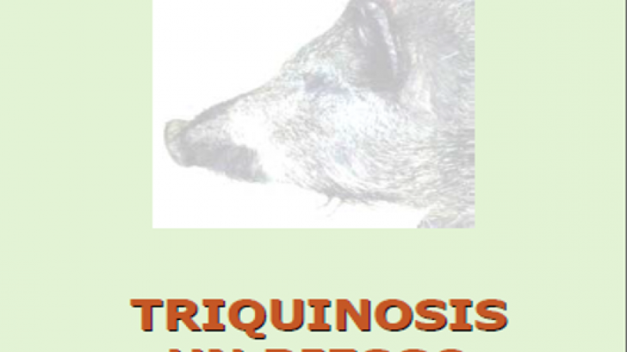 Portada del tríptico:  triquinosis, un riesgo fácil de prevenir
