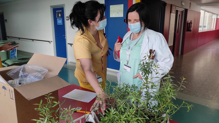 Dos mujeres en un hospital junto a plantas