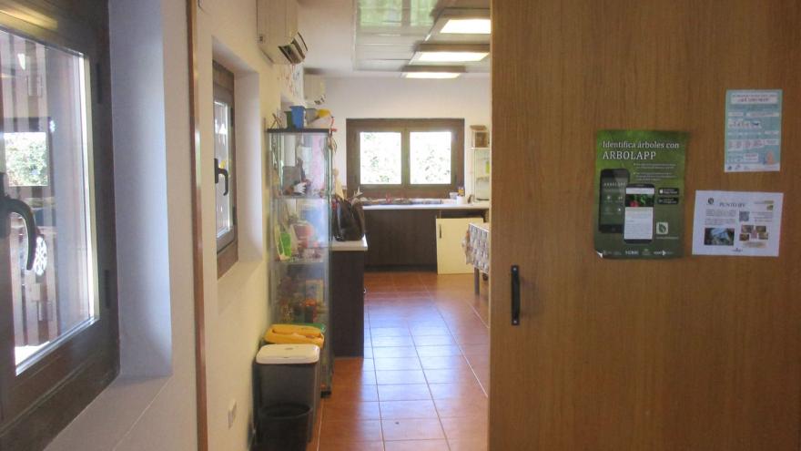 Acceso al aula en el interior del Centro de educación ambiental Bosque Sur