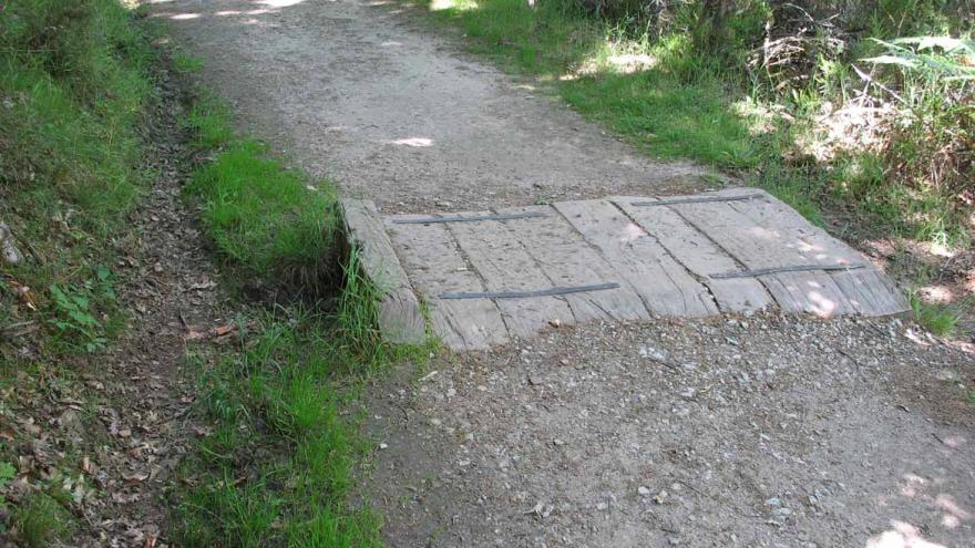 Paso acondicionado por arroyo en la Senda del río, en el Hayedo de Montejo