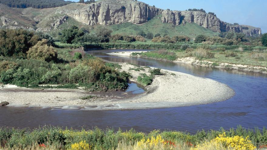 Río Jarama-Manzanares. La Marañosa