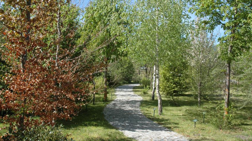 Arboreto Giner de los Ríos