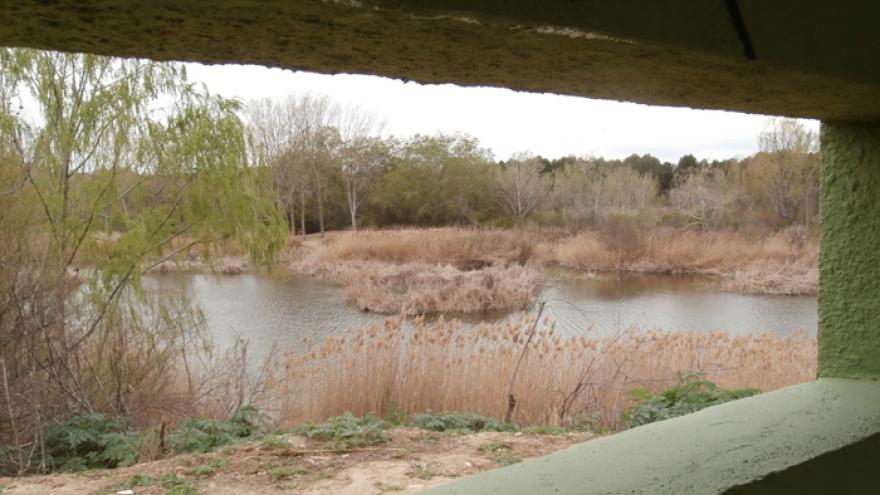 Paseo por las lagunas y la presa del río Henares