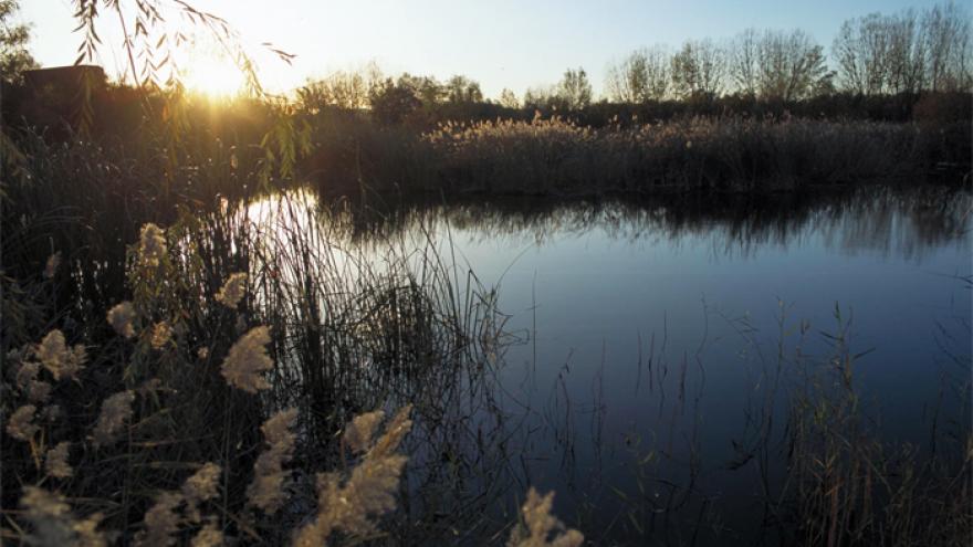 Paseo por las lagunas y la presa del río Henares