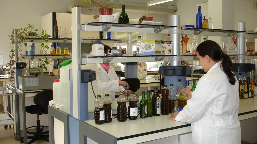 Personas trabajando en el laboratorio alimentario de El Encin