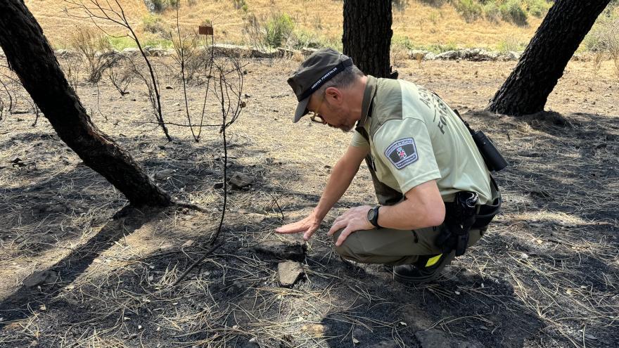 Agentes forestales investigando en un incendio