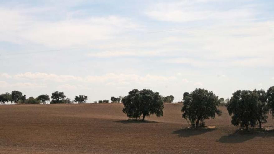 Senda de Boadilla del Monte a Villanueva de la Cañada - R21