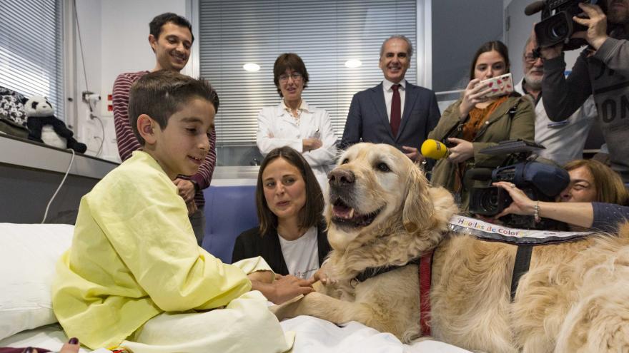 Terapia asistida con perros