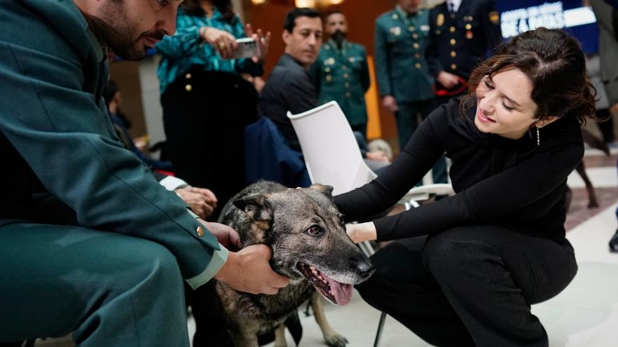 La presidenta junto a los perros en adopción