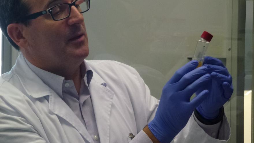 El Dr. Rafael Delgado observa una muestra en el Laboratorio