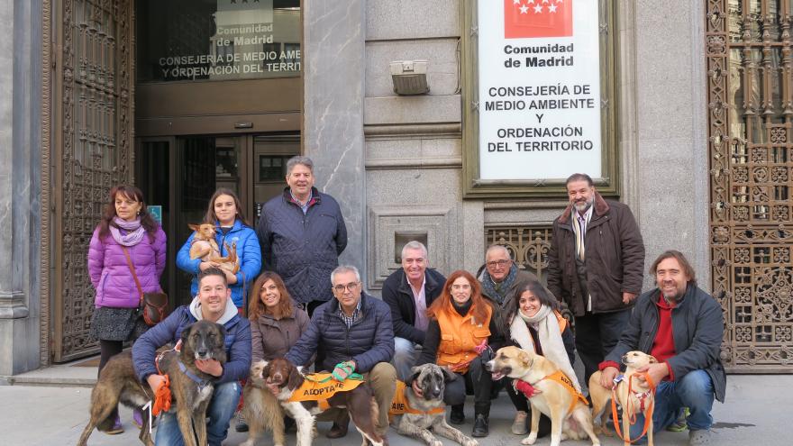 La adopción de animales en la Comunidad de Madrid ha aumentado un 30 % este año 