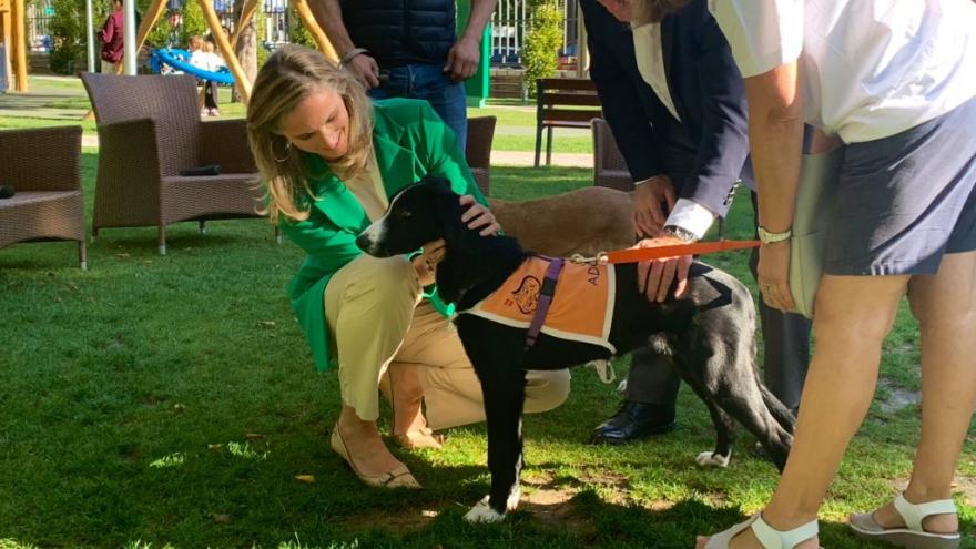 Paloma Martín con uno de los perros del Salón de la Adopción para Animales de Compañía organizado por la Comunidad de Madrid